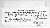 Image Associated With the Occurence